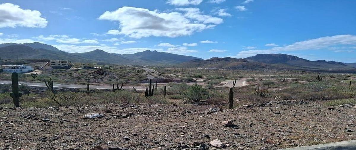 Foto de terreno habitacional en venta en  , puerto de pichilingue, la paz, baja california sur, 0 No. 06