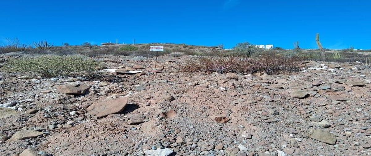 Foto de terreno habitacional en venta en  , puerto de pichilingue, la paz, baja california sur, 0 No. 06