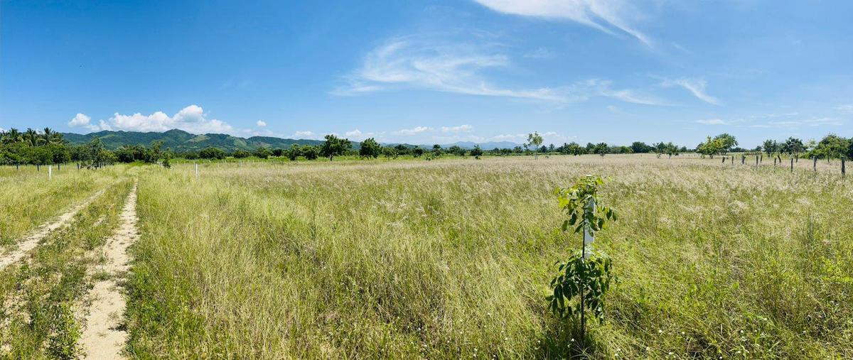 Foto de terreno habitacional en venta en  , puerto escondido centro, san pedro mixtepec -dto. 22 -, oaxaca, 0 No. 04