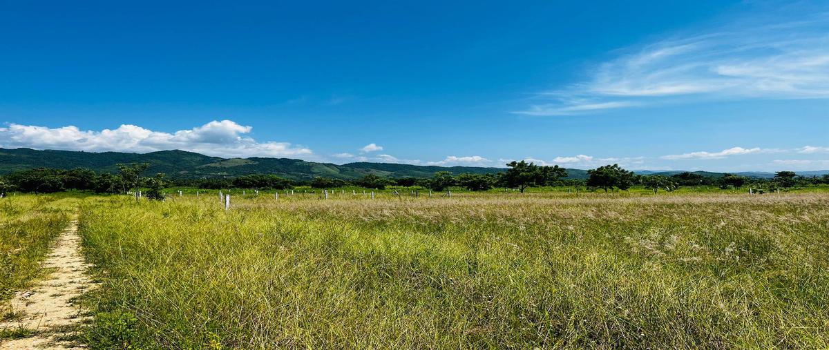 Foto de terreno habitacional en venta en  , puerto escondido centro, san pedro mixtepec -dto. 22 -, oaxaca, 0 No. 03