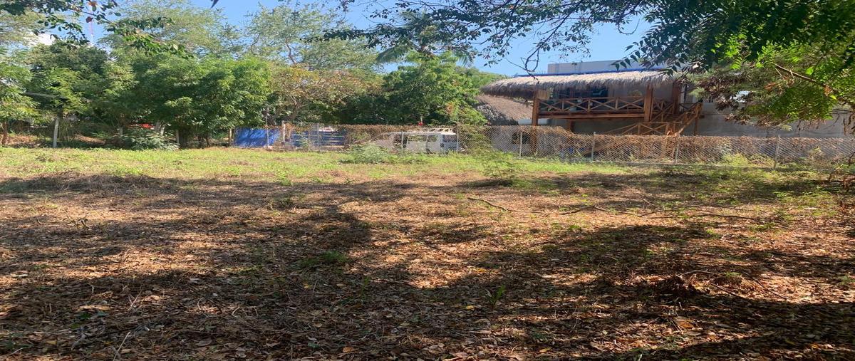 Foto de terreno habitacional en venta en  , puerto escondido centro, san pedro mixtepec -dto. 22 -, oaxaca, 0 No. 03