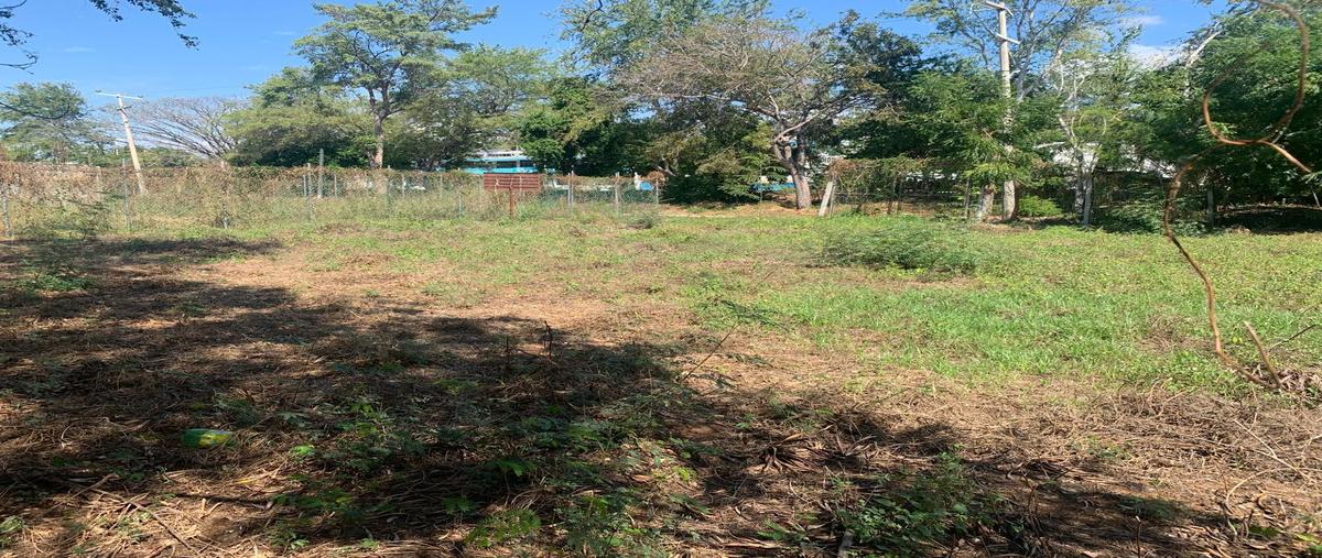 Foto de terreno habitacional en venta en  , puerto escondido centro, san pedro mixtepec -dto. 22 -, oaxaca, 0 No. 05