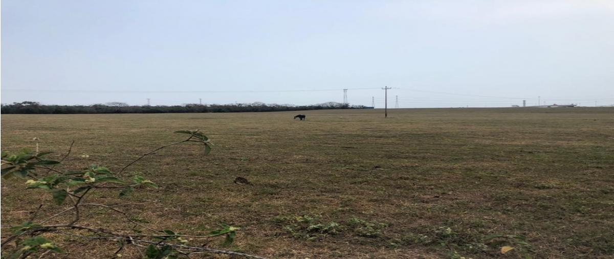 Foto de terreno habitacional en venta en  , puerto industrial de altamira, altamira, tamaulipas, 0 No. 04