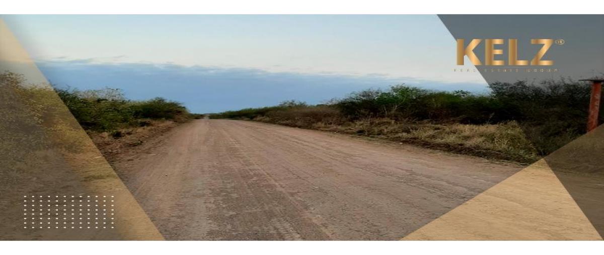 Foto de terreno habitacional en renta en  , puerto industrial de altamira, altamira, tamaulipas, 0 No. 03