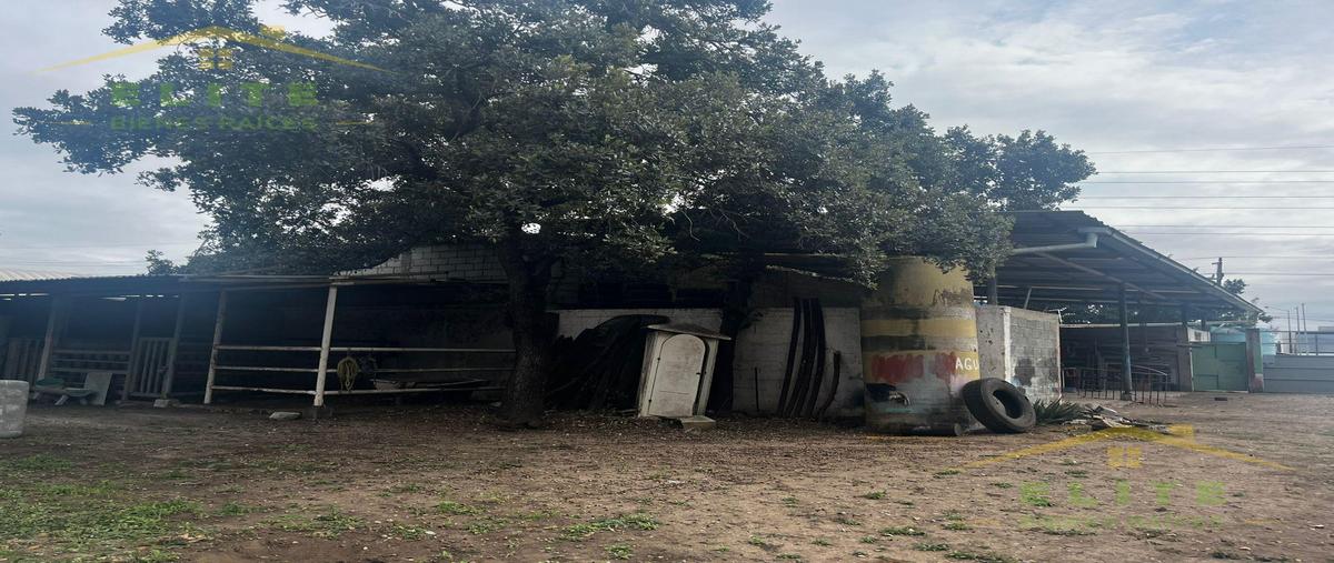 Foto de terreno habitacional en renta en  , puerto industrial de altamira, altamira, tamaulipas, 29231057 No. 04