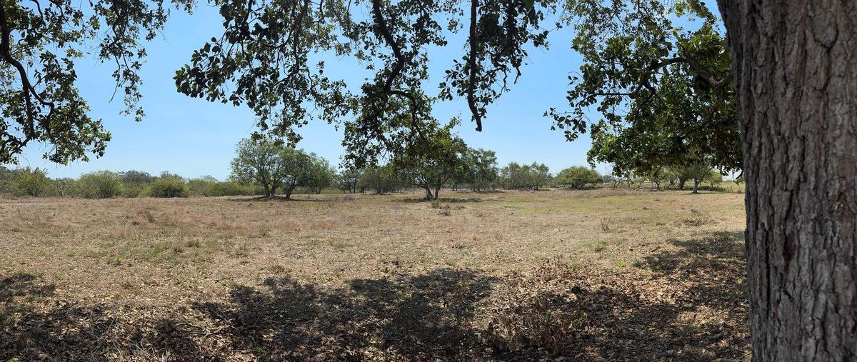Foto de terreno habitacional en venta en  , puerto industrial de altamira, altamira, tamaulipas, 0 No. 05