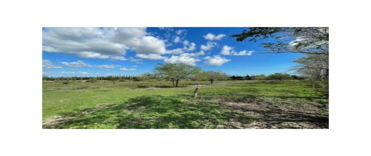 Foto de terreno habitacional en venta en  , puerto industrial de altamira, altamira, tamaulipas, 0 No. 03