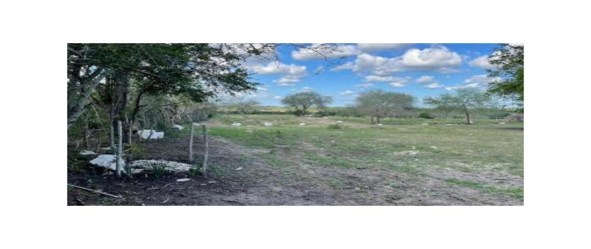 Foto de terreno habitacional en venta en  , puerto industrial de altamira, altamira, tamaulipas, 0 No. 04