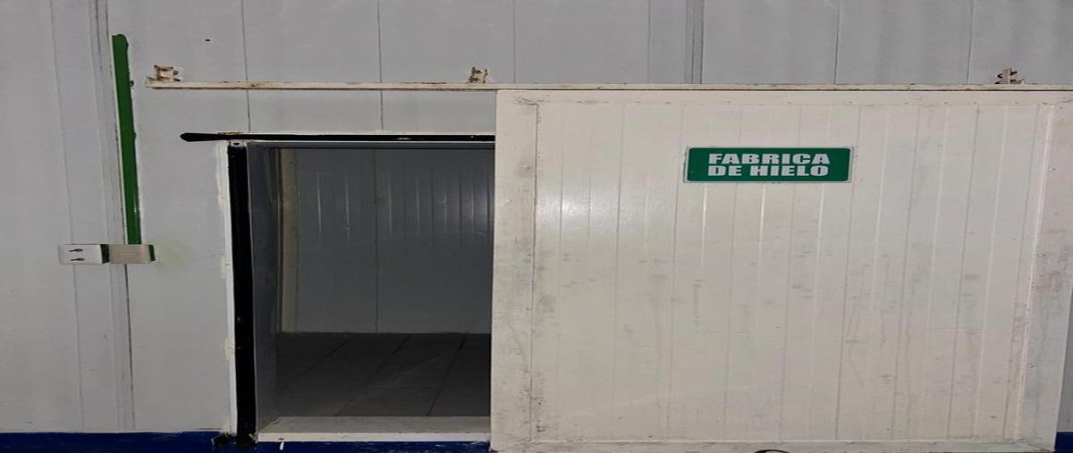 Foto de local en venta en  , puerto industrial de altamira, altamira, tamaulipas, 0 No. 03