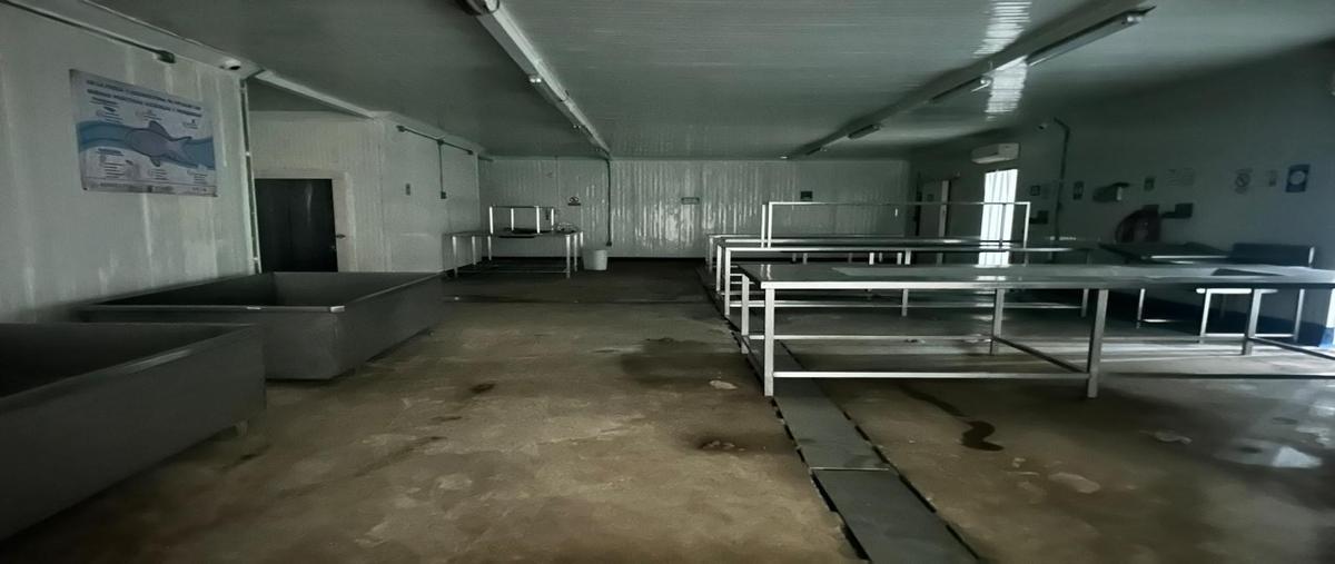 Foto de local en venta en  , puerto industrial de altamira, altamira, tamaulipas, 0 No. 04