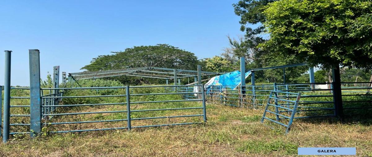 Foto de terreno habitacional en venta en  , puerto industrial de altamira, altamira, tamaulipas, 0 No. 04