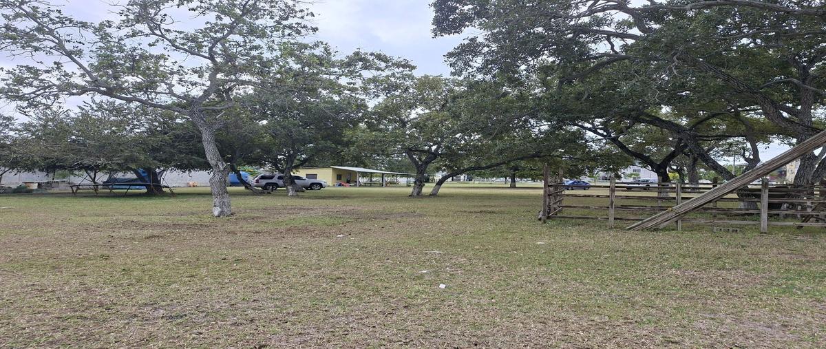 Foto de terreno habitacional en venta en  , puerto industrial de altamira, altamira, tamaulipas, 0 No. 03