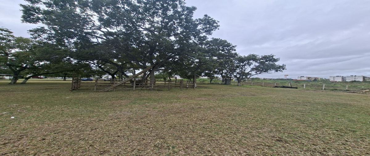 Foto de terreno habitacional en venta en  , puerto industrial de altamira, altamira, tamaulipas, 0 No. 04