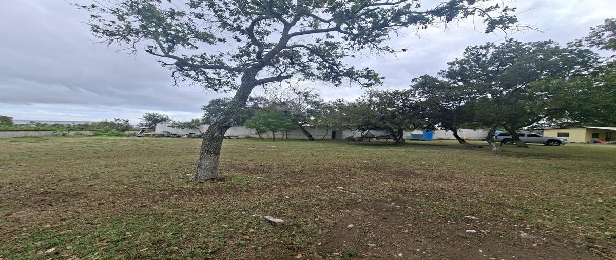 Foto de terreno habitacional en venta en  , puerto industrial de altamira, altamira, tamaulipas, 0 No. 05
