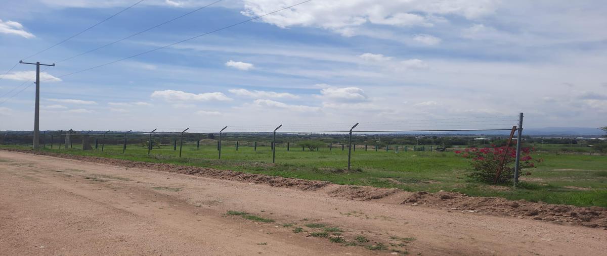 Foto de terreno habitacional en venta en  , puerto interior, silao de la victoria, guanajuato, 26832660 No. 04