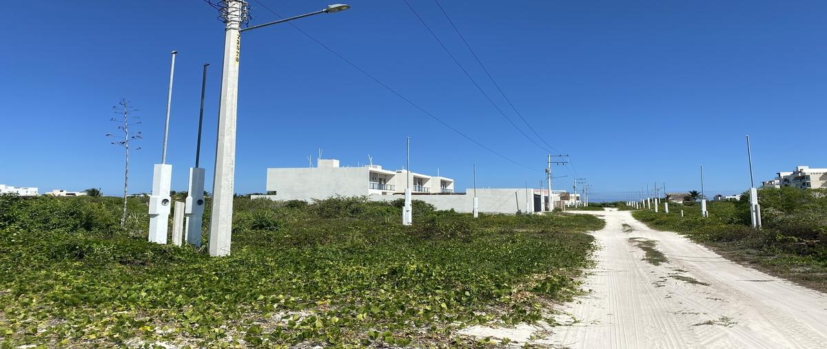 Foto de terreno habitacional en venta en puerto larena , san diego, dzemul, yucatán, 0 No. 03