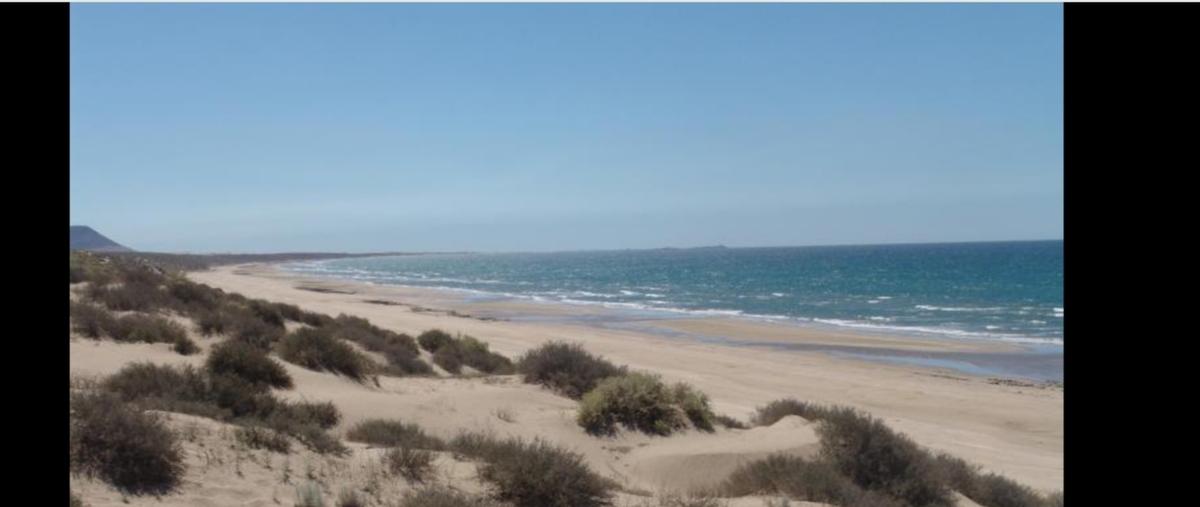 Foto de terreno habitacional en venta en  , puerto lobos, caborca, sonora, 26169786 No. 02