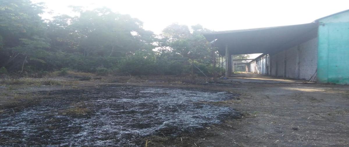 Foto de terreno habitacional en venta en  , puerto madero centro, tapachula, chiapas, 30297867 No. 04