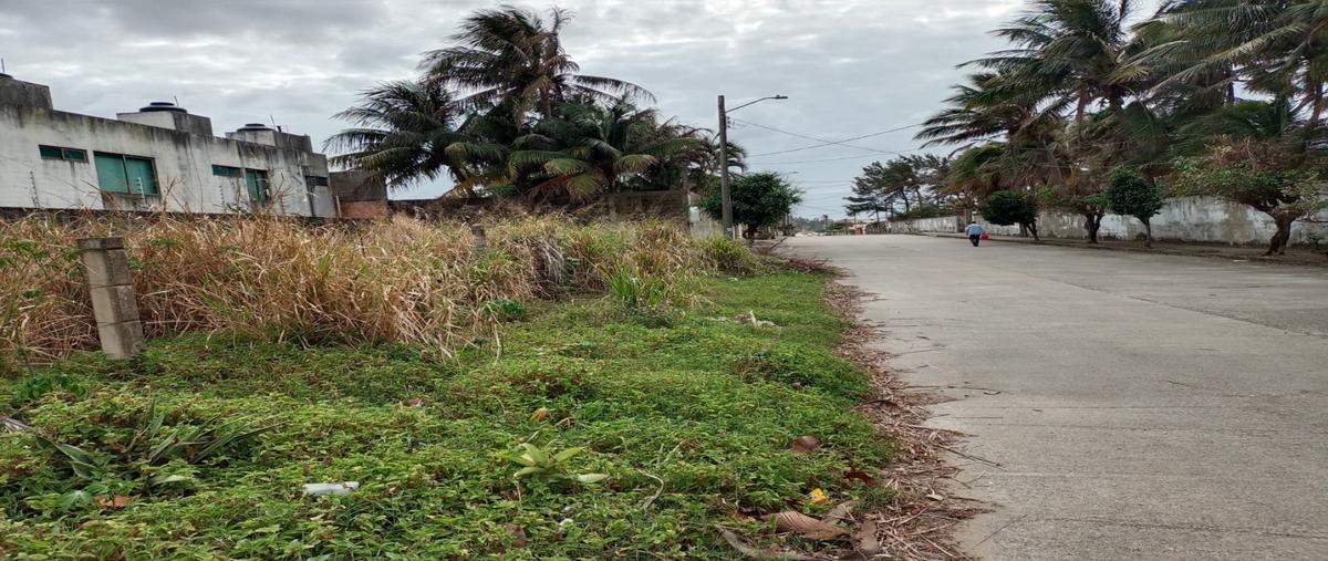 Foto de terreno habitacional en venta en  , puerto méxico, coatzacoalcos, veracruz de ignacio de la llave, 24701601 No. 05