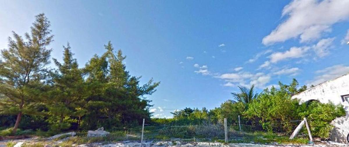 Foto de terreno comercial en , puerto morelos, benito juárez, quintana roo, 0 foto 03 Foto de terreno comercial en venta en , puerto morelos, benito juárez, quintana roo, 0 No. 03