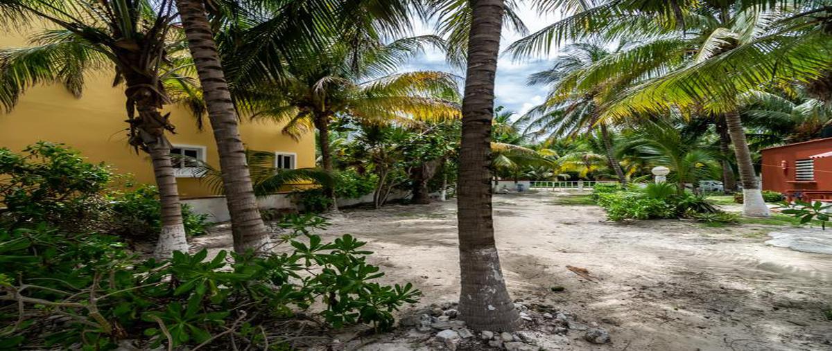 Foto de terreno habitacional en venta en  , puerto morelos, benito juárez, quintana roo, 0 No. 05