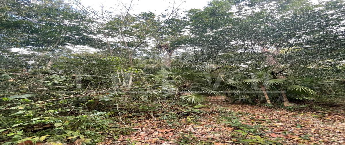 Foto de terreno habitacional en venta en  , puerto morelos, benito juárez, quintana roo, 0 No. 04