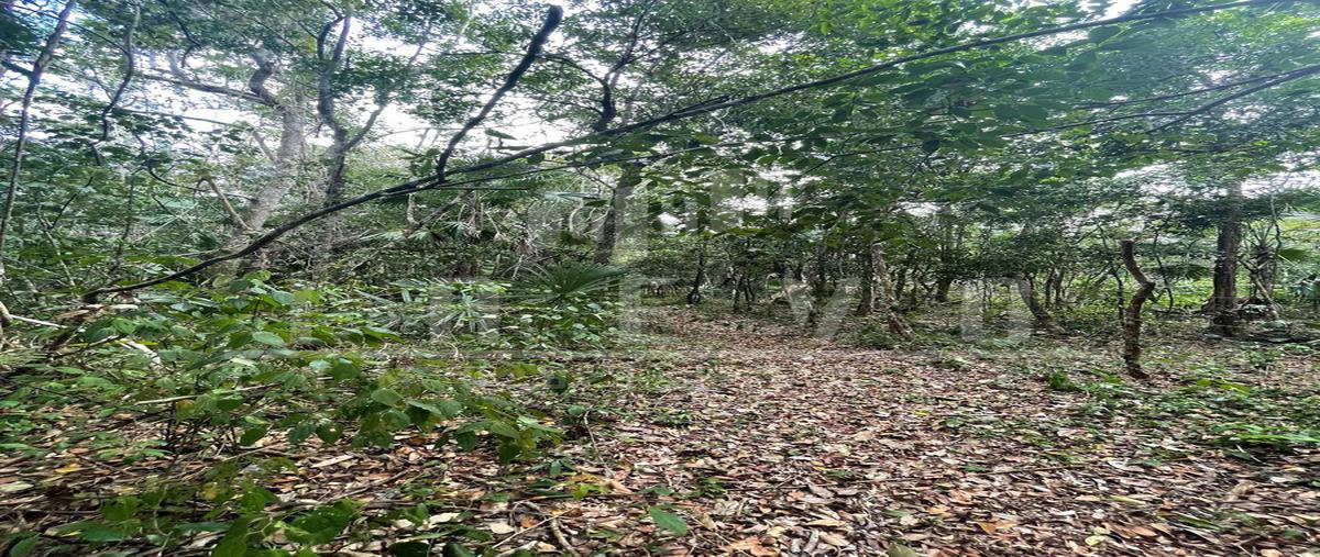 Foto de terreno habitacional en venta en  , puerto morelos, benito juárez, quintana roo, 0 No. 05