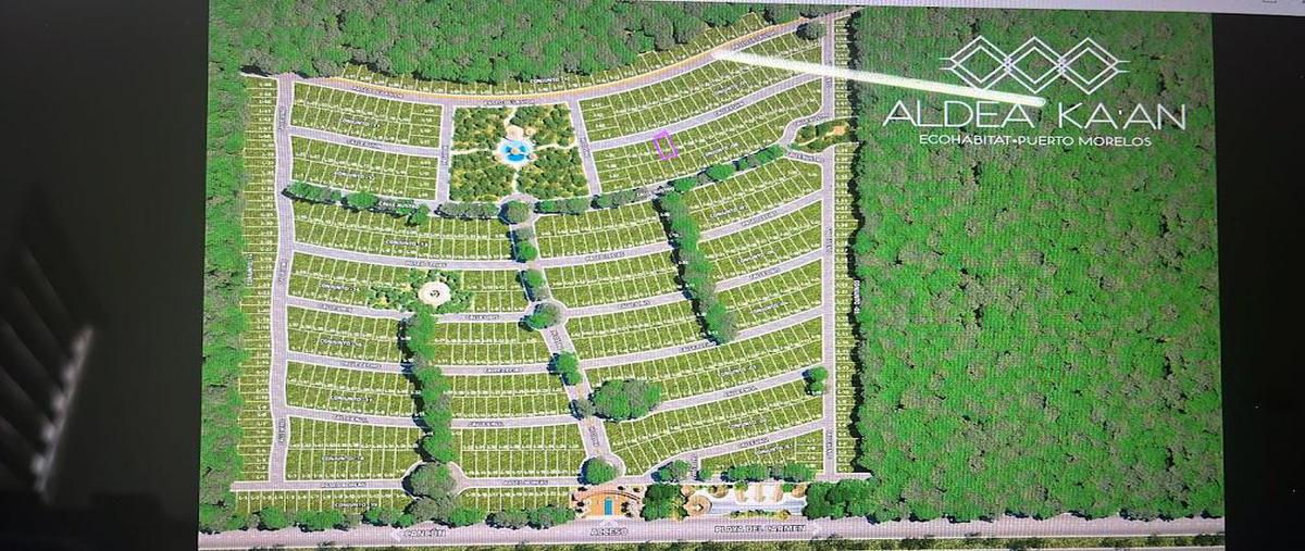 Foto de terreno habitacional en venta en  , puerto morelos, benito juárez, quintana roo, 0 No. 03