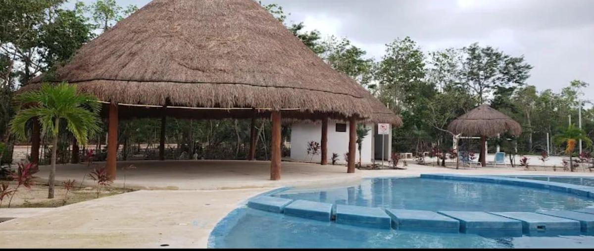 Foto de terreno habitacional en venta en  , puerto morelos, benito juárez, quintana roo, 0 No. 03