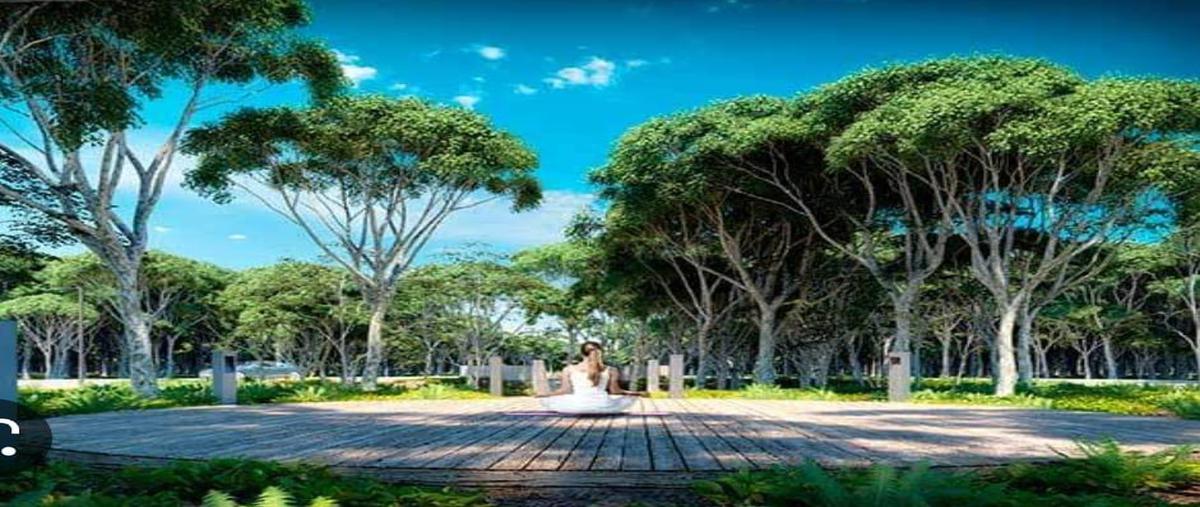 Foto de terreno habitacional en venta en  , puerto morelos, benito juárez, quintana roo, 0 No. 04