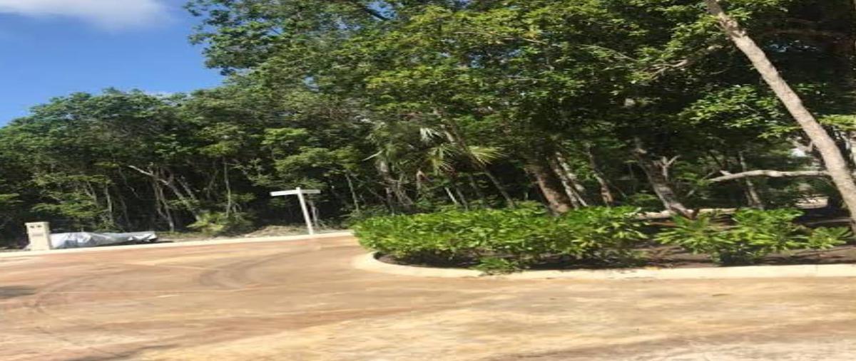 Foto de terreno habitacional en venta en  , puerto morelos, benito juárez, quintana roo, 0 No. 05