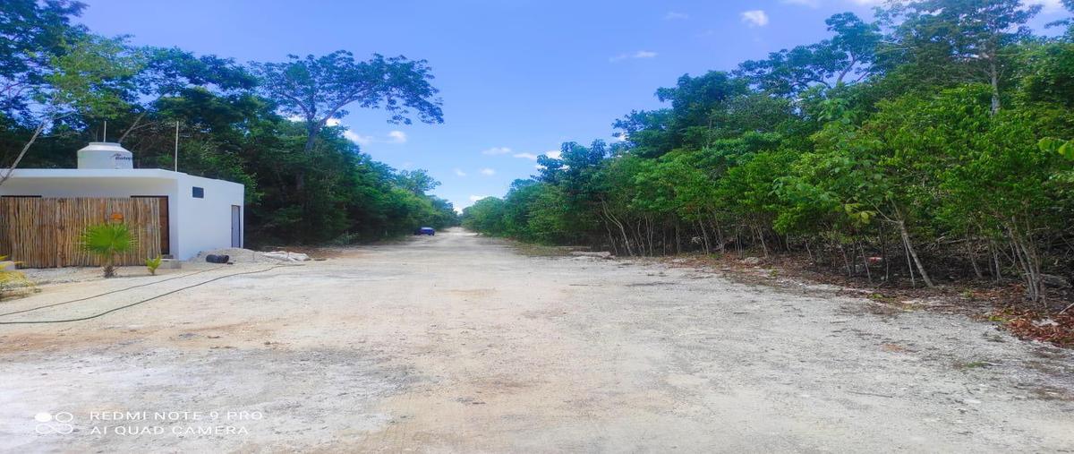 Foto de terreno habitacional en venta en  , puerto morelos, benito juárez, quintana roo, 0 No. 03