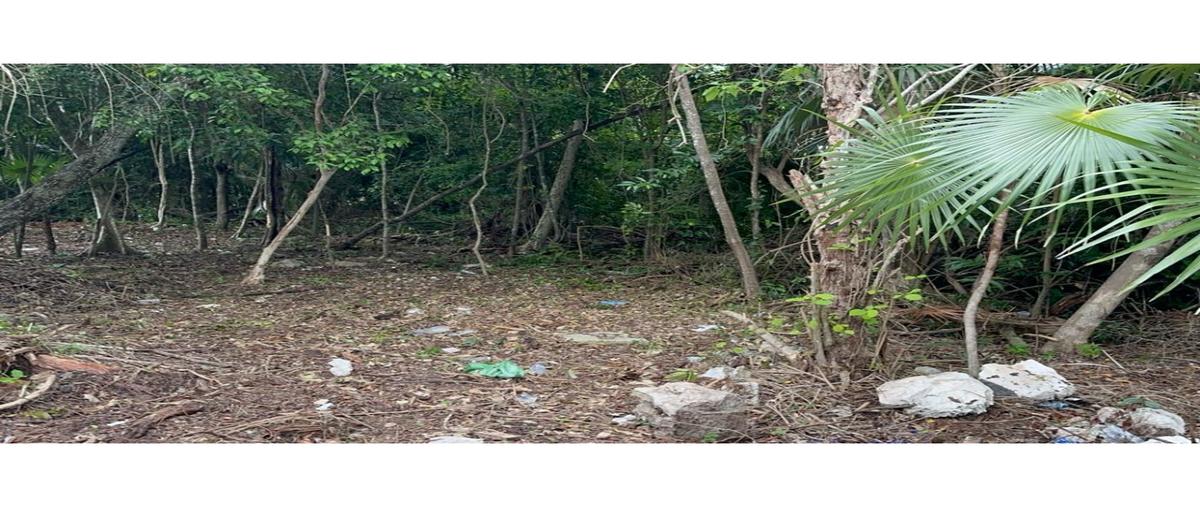 Foto de terreno habitacional en venta en  , puerto morelos, benito juárez, quintana roo, 0 No. 03