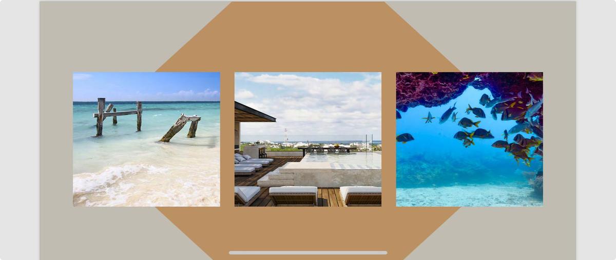 Foto de departamento en venta en  , puerto morelos, benito juárez, quintana roo, 0 No. 05