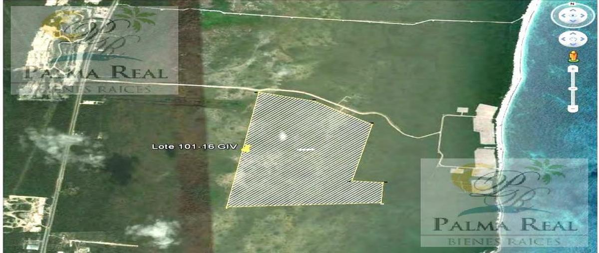 Foto de terreno habitacional en venta en  , puerto morelos, benito juárez, quintana roo, 0 No. 03