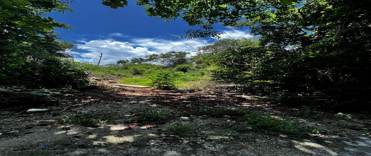 Foto de terreno habitacional en , puerto morelos, benito juárez, quintana roo, 0 foto 02 Foto de terreno habitacional en venta en , puerto morelos, benito juárez, quintana roo, 0 No. 02