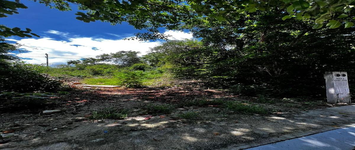 Foto de terreno habitacional en , puerto morelos, benito juárez, quintana roo, 0 foto 03 Foto de terreno habitacional en venta en , puerto morelos, benito juárez, quintana roo, 0 No. 03