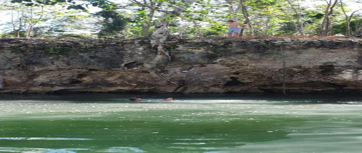 Foto de terreno habitacional en , puerto morelos, benito juárez, quintana roo, 0 foto 02 Foto de terreno habitacional en venta en , puerto morelos, benito juárez, quintana roo, 0 No. 02