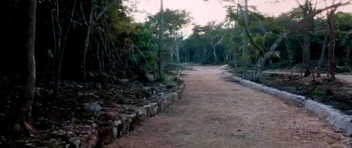 Foto de terreno habitacional en , puerto morelos, benito juárez, quintana roo, 0 foto 03 Foto de terreno habitacional en venta en , puerto morelos, benito juárez, quintana roo, 0 No. 03