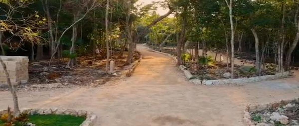 Foto de terreno habitacional en , puerto morelos, benito juárez, quintana roo, 0 foto 05 Foto de terreno habitacional en venta en , puerto morelos, benito juárez, quintana roo, 0 No. 05