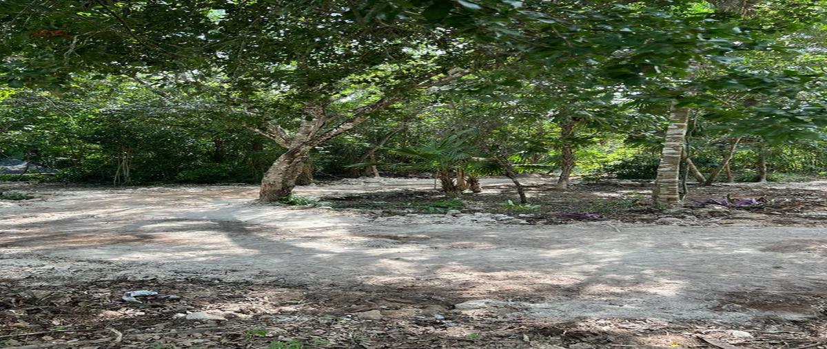Foto de terreno habitacional en venta en  , puerto morelos, benito juárez, quintana roo, 0 No. 03