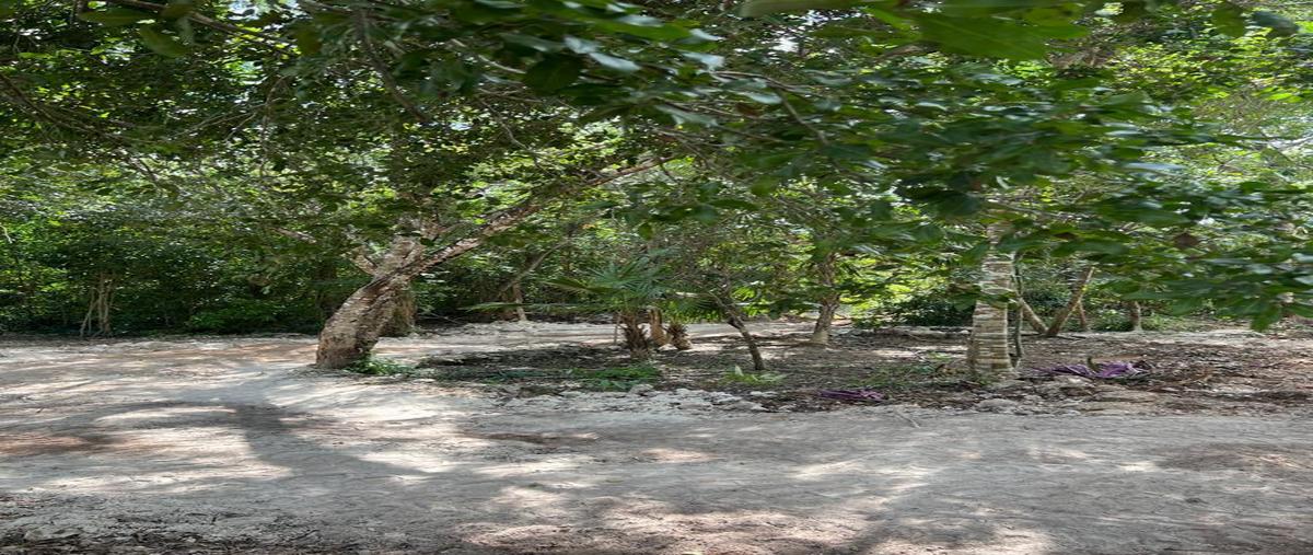 Foto de terreno habitacional en venta en  , puerto morelos, benito juárez, quintana roo, 0 No. 04
