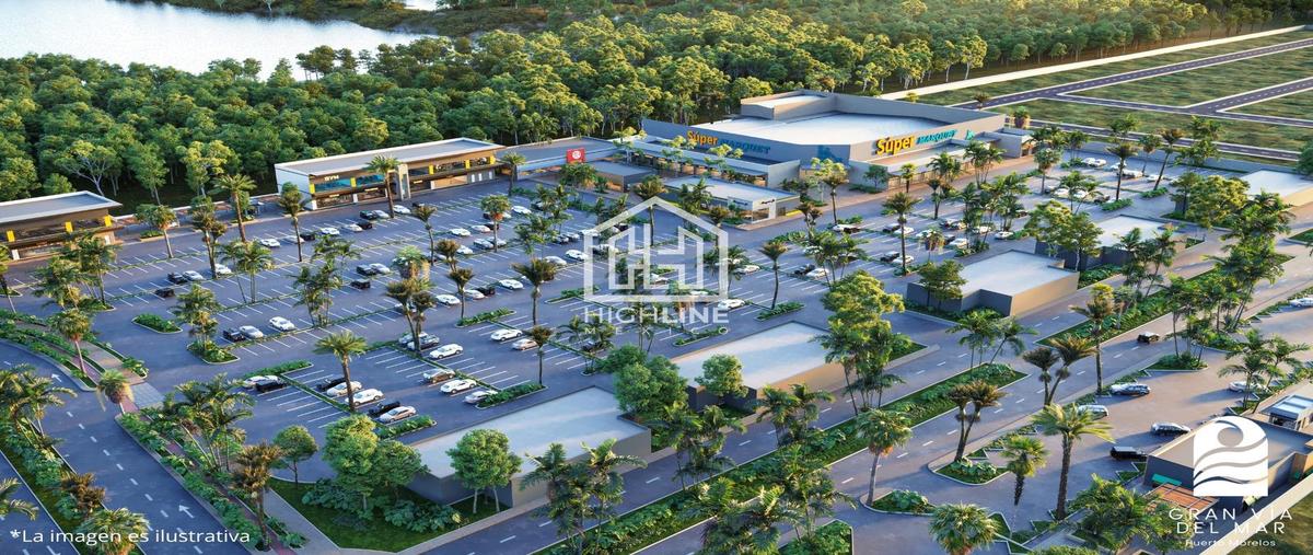 Foto de terreno habitacional en venta en  , puerto morelos, benito juárez, quintana roo, 29836207 No. 04