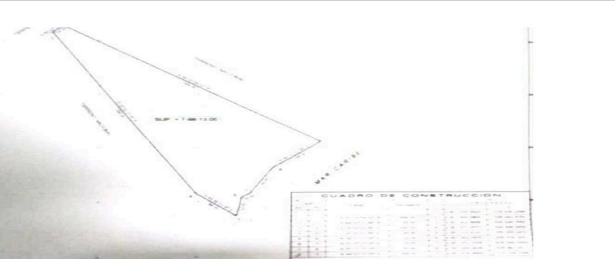 Foto de terreno habitacional en venta en  , puerto morelos, benito juárez, quintana roo, 30171893 No. 03