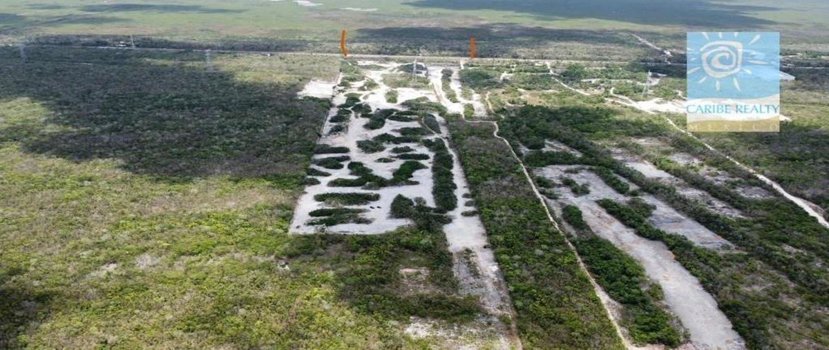 Foto de terreno habitacional en venta en  , puerto morelos, benito juárez, quintana roo, 30219570 No. 03