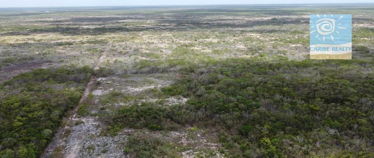 Foto de terreno habitacional en venta en  , puerto morelos, benito juárez, quintana roo, 30219570 No. 04