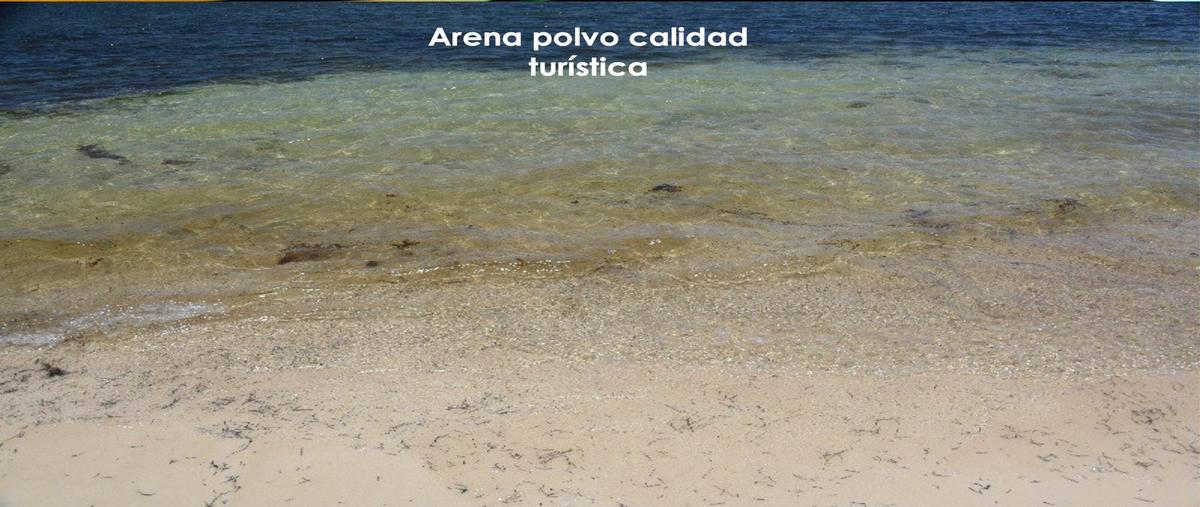 Foto de terreno habitacional en venta en  , puerto morelos, benito juárez, quintana roo, 30273981 No. 05