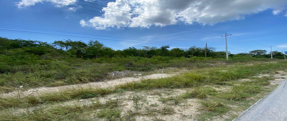Foto de terreno habitacional en , puerto morelos, benito juárez, quintana roo, 30309710 foto 02 Foto de terreno habitacional en venta en , puerto morelos, benito juárez, quintana roo, 30309710 No. 02