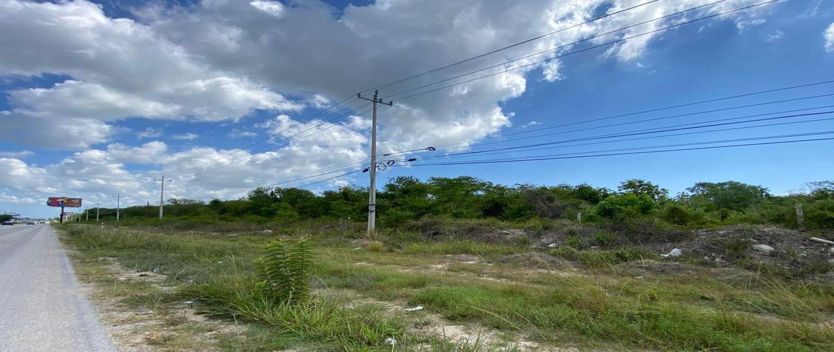 Foto de terreno habitacional en , puerto morelos, benito juárez, quintana roo, 30309710 foto 03 Foto de terreno habitacional en venta en , puerto morelos, benito juárez, quintana roo, 30309710 No. 03