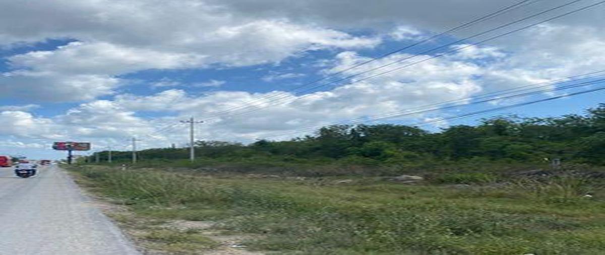 Foto de terreno habitacional en , puerto morelos, benito juárez, quintana roo, 30309710 foto 04 Foto de terreno habitacional en venta en , puerto morelos, benito juárez, quintana roo, 30309710 No. 04